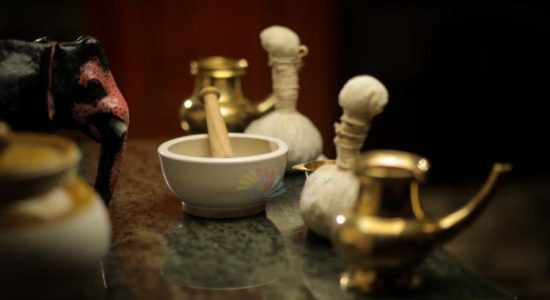 Copy-of-Ayurveda-Dec-vv1.4 Copy-of-Ayurveda-Dec-vv1.4