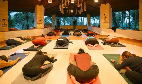 Group-Yoga